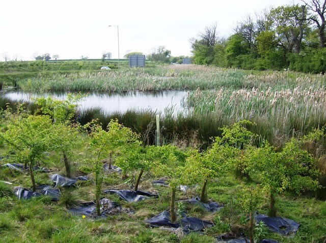 Foto „Braybrooke“ von Graham Horn (CC BY-SA)/zugeschnittenes Original