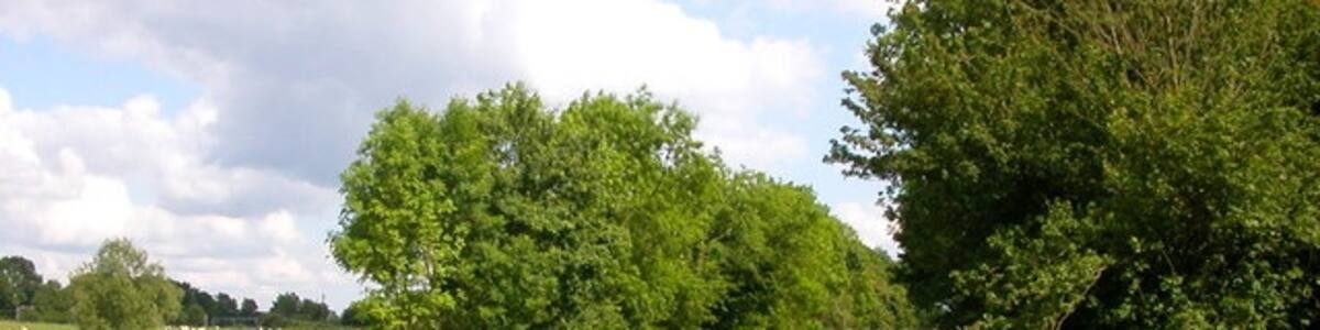 Photo "Cathiron Bridge, Bridge 41 over the Oxford Canal at Cathiron, Warwickshire, seen from the northwest" by Ian Rob (Creative Commons Attribution-Share Alike 2.0) / Cropped from original