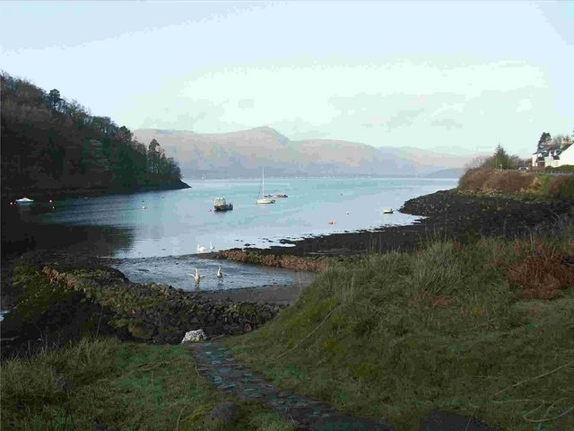 Ardgour and Loch Linnhe from Kentallen Bay There has been a tiny fishing community living in this bay for 3,000 years. But the herons have been here for much longer than that, and so have the pine martens and the buzzards. Look at the swans. Whooper swan bones have been found and dated at 36,000 years. http:www.bayviewkentallen.co.uk