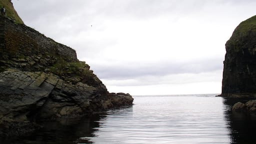 Photo "Whaligoe" by Steven Heddle (CC BY-SA) / Cropped from original