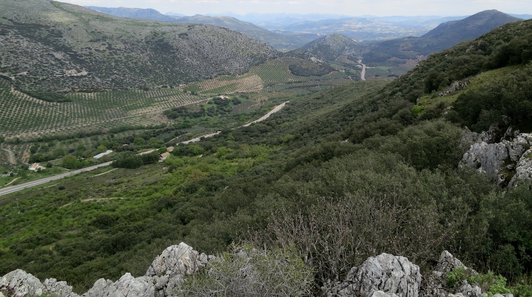 « Cabra», photo de Konrad Hädener (CC BY) / rognée de l’originale