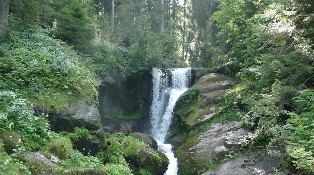 Foto ‘Triberger Wasserfälle’ van adirricor (CC BY) / bijgesneden versie van origineel