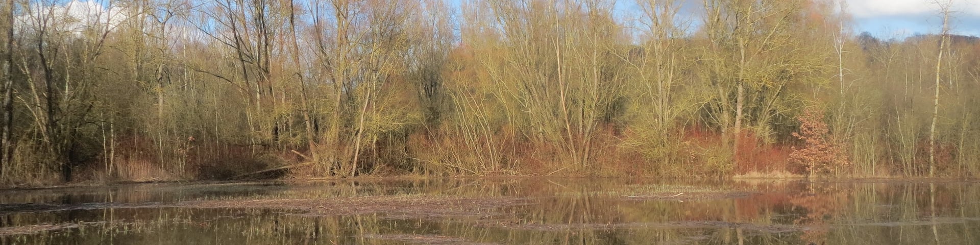 Schafbrücke, Saarbrücken, Sarre, Alemanha
