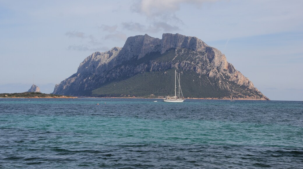 Foto ‘Tavolara Island’ van Discanto (CC BY-SA) / bijgesneden versie van origineel