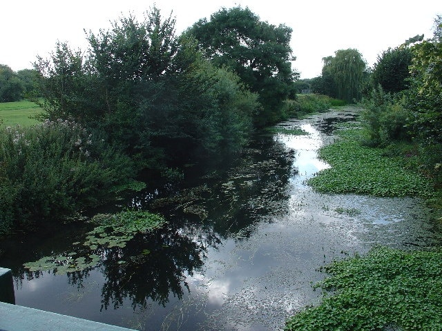 River Mole, East Molesey. The River Mole meanders behind houses in East Molesey, north of the Island Barn reservoir