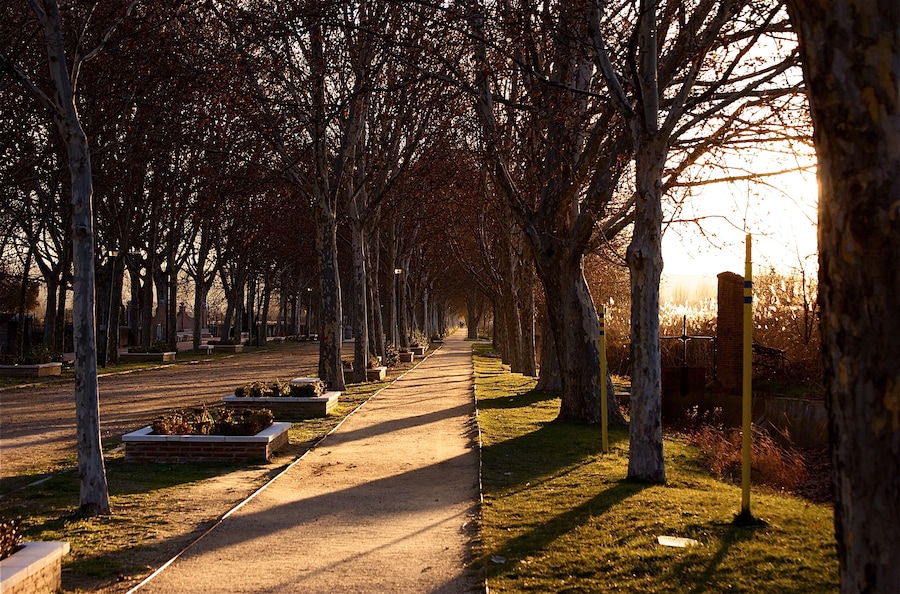 The so-called "poplar walk" in San Fernando de Henares, Madrid.