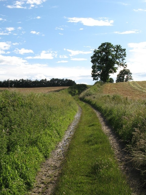 Track near Wark