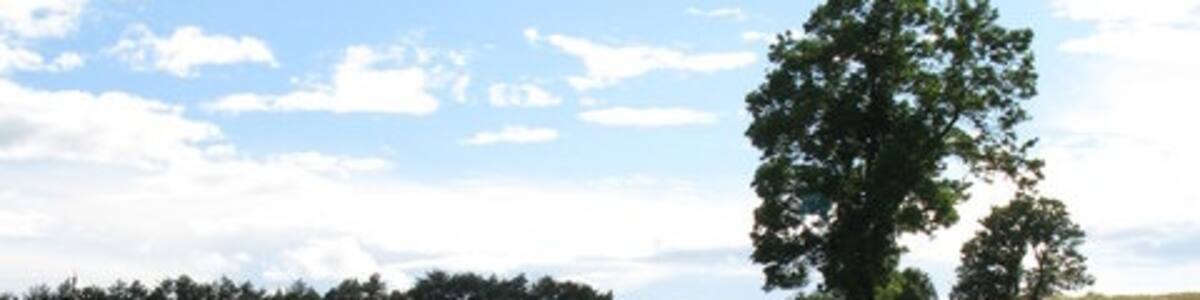 Photo "Track near Wark" by Mike Quinn (Creative Commons Attribution-Share Alike 2.0) / Cropped from original