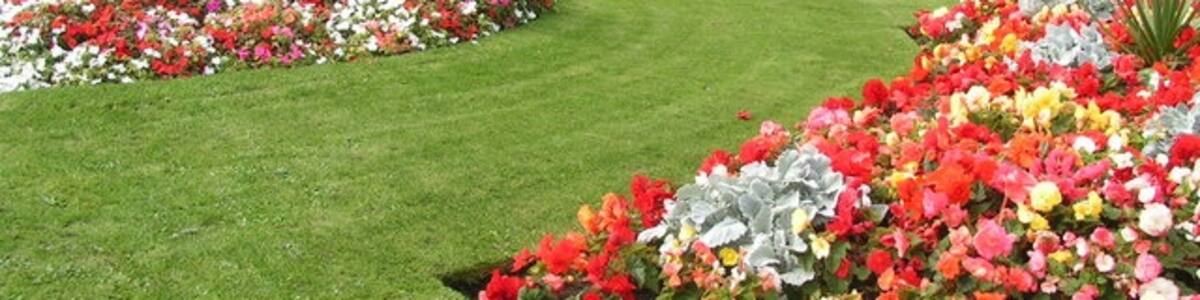 Photo "Seaton Delavals Summer Flower Show Photo taken actually on the island at the intersection of the A190 & the A192 at personal risk to wind and limb to get there" by Richard Armstrong (Creative Commons Attribution-Share Alike 2.0) / Cropped from original