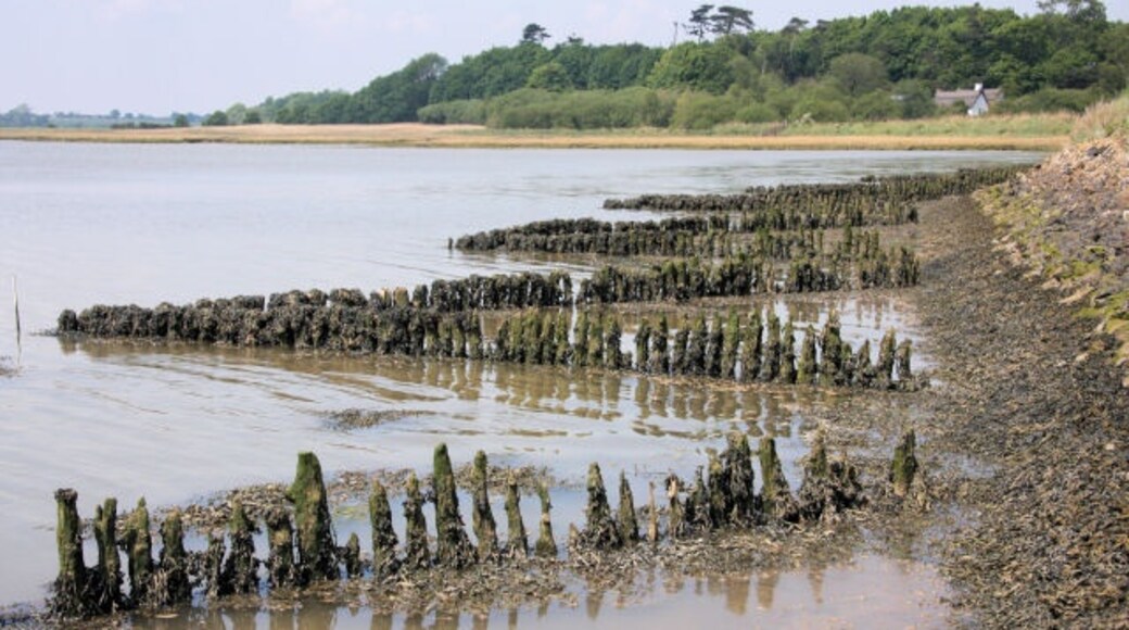 Foto „Ramsholt“ von Bob Jones (CC BY-SA)/zugeschnittenes Original