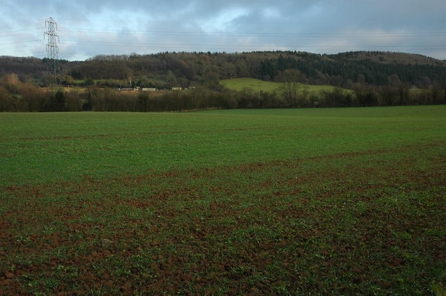 The Suckley Hills The wooded Suckley Hills viewed from the road to the south of Suckley Knowle.