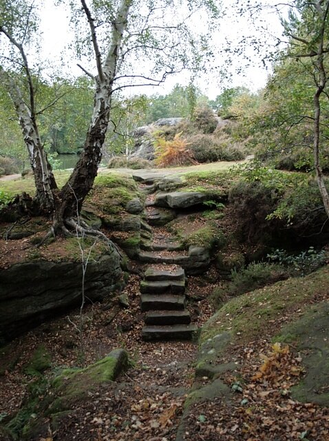 Foto “Plompton” tomada por David Pickersgill (CC BY-SA); recorte de la original