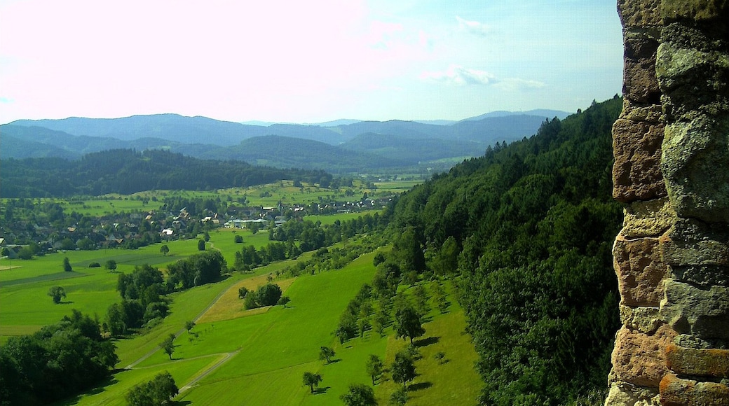 Photo "Emmendingen" by pictures Jettcom (CC BY) / Cropped from original