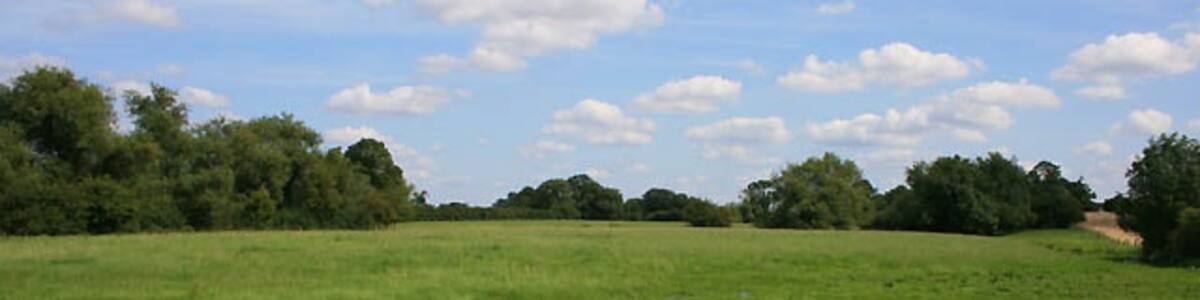 Photo "Flooded Field near Ratcliffe Culey July 2009 was very wet, as was the first week in August." by David Lally (Creative Commons Attribution-Share Alike 2.0) / Cropped from original