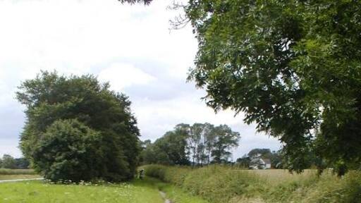 Foto "Morton Palms" de Mick Garratt (CC BY-SA) / Recortada do original