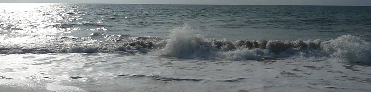 Photo "l'ocean" by Pachypodium (Creative Commons Attribution 3.0) / Cropped from original