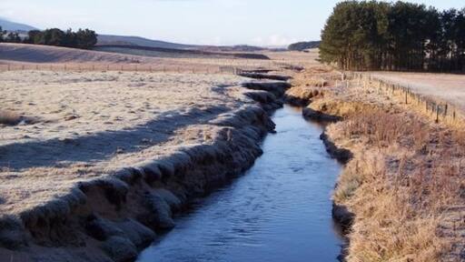 Photo "Walston" by James T M Towill (CC BY-SA) / Cropped from original