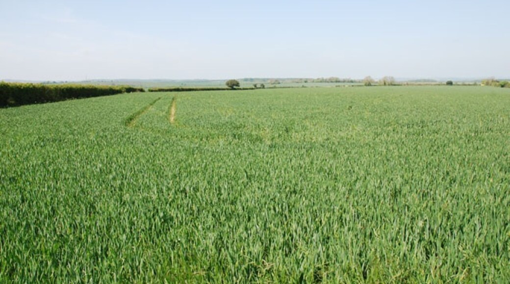 Foto "Winterborne Clenston" por Toby (CC BY-SA) / Recortada de la original