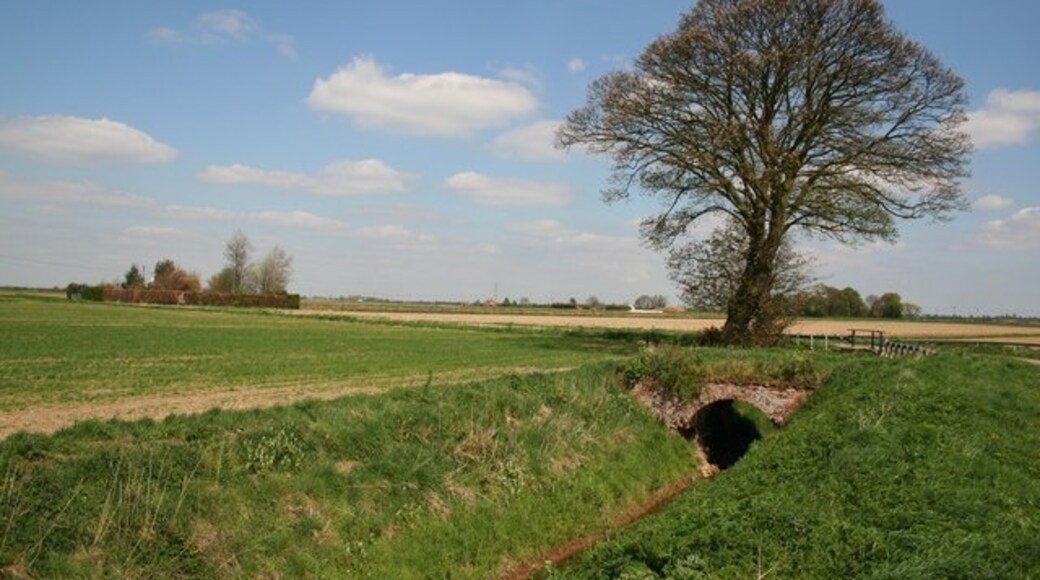 Kuva ”Butterwick” käyttäjältä Richard Croft (CC BY-SA) / rajattu alkuperäisestä kuvasta