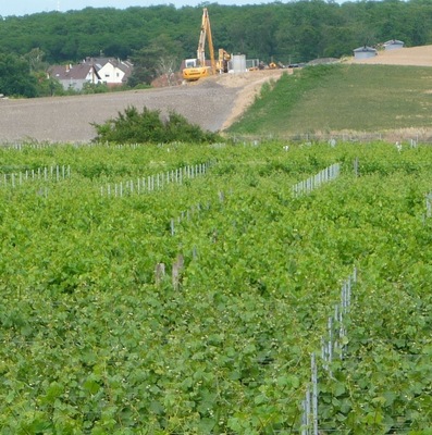 ewiger Müllberg der BASF