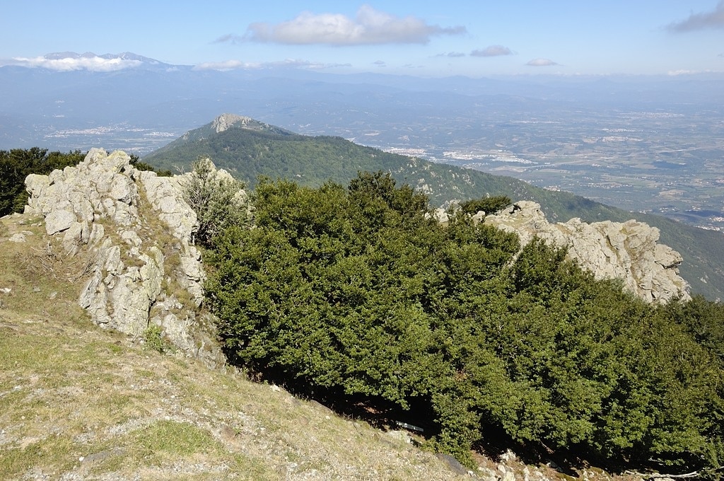 Laroque-des-Albères, Pyrénées-Orientales, France