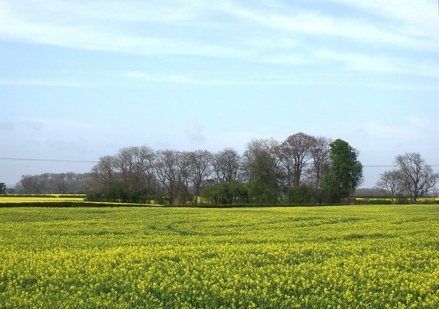 Foto “Foston” tomada por Paul Glazzard (CC BY-SA); recorte de la original
