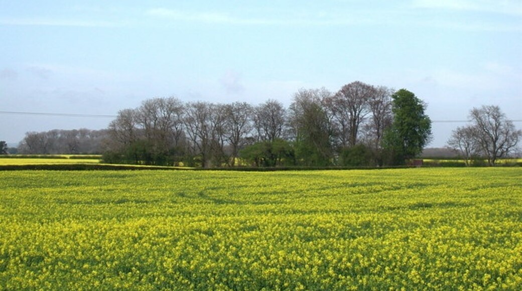 Foto “Foston” tomada por Paul Glazzard (CC BY-SA); recorte de la original