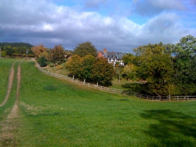 Didley Motte Shows the remains of the Motte and Bailey at Didley