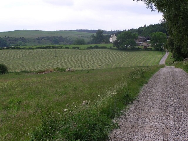 Photo "Aske" by Hugh Mortimer (CC BY-SA) / Cropped from original