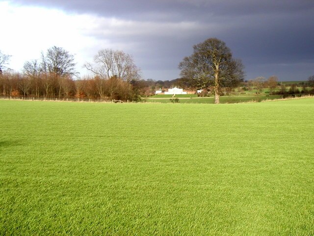 "Azerley"-foto av Andy Beecroft (CC BY-SA) / Urklipp från original