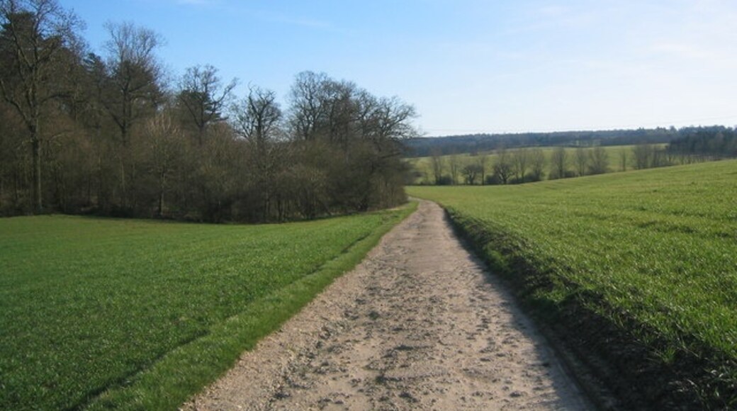 "Epping Upland"-foto av O O'Brien (CC BY-SA) / Urklipp från original