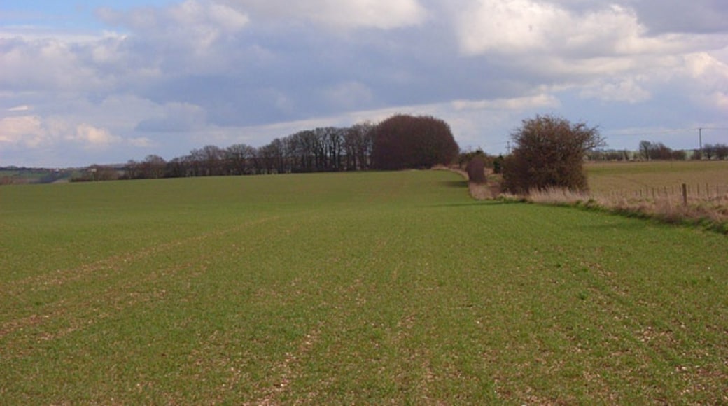 Photo "Lambourn" by Andrew Smith (CC BY-SA) / Cropped from original