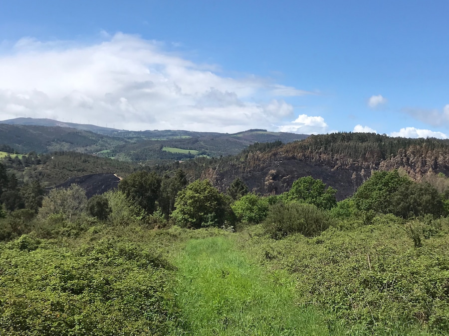 Sobreirais do Arnego, vista