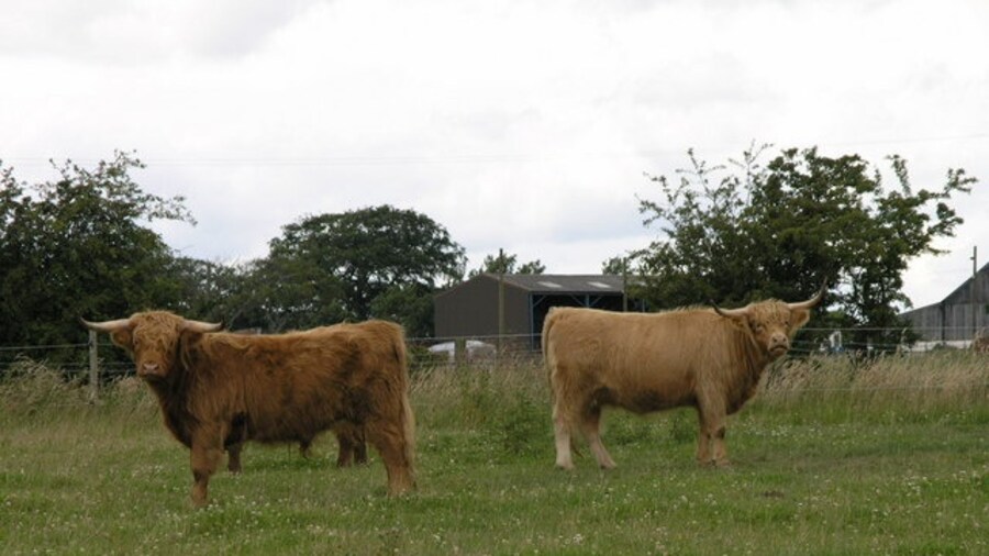 Photo "Taking Notice. Old Iversley Farm." by Donald Brydon (Creative Commons Attribution-Share Alike 2.0) / Cropped from original