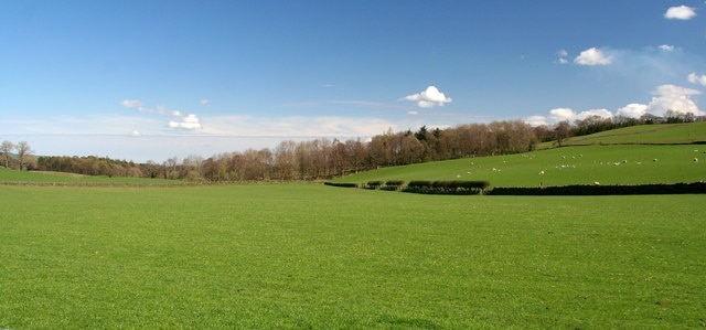 Broad Wood View across pasture at Broad Wood.