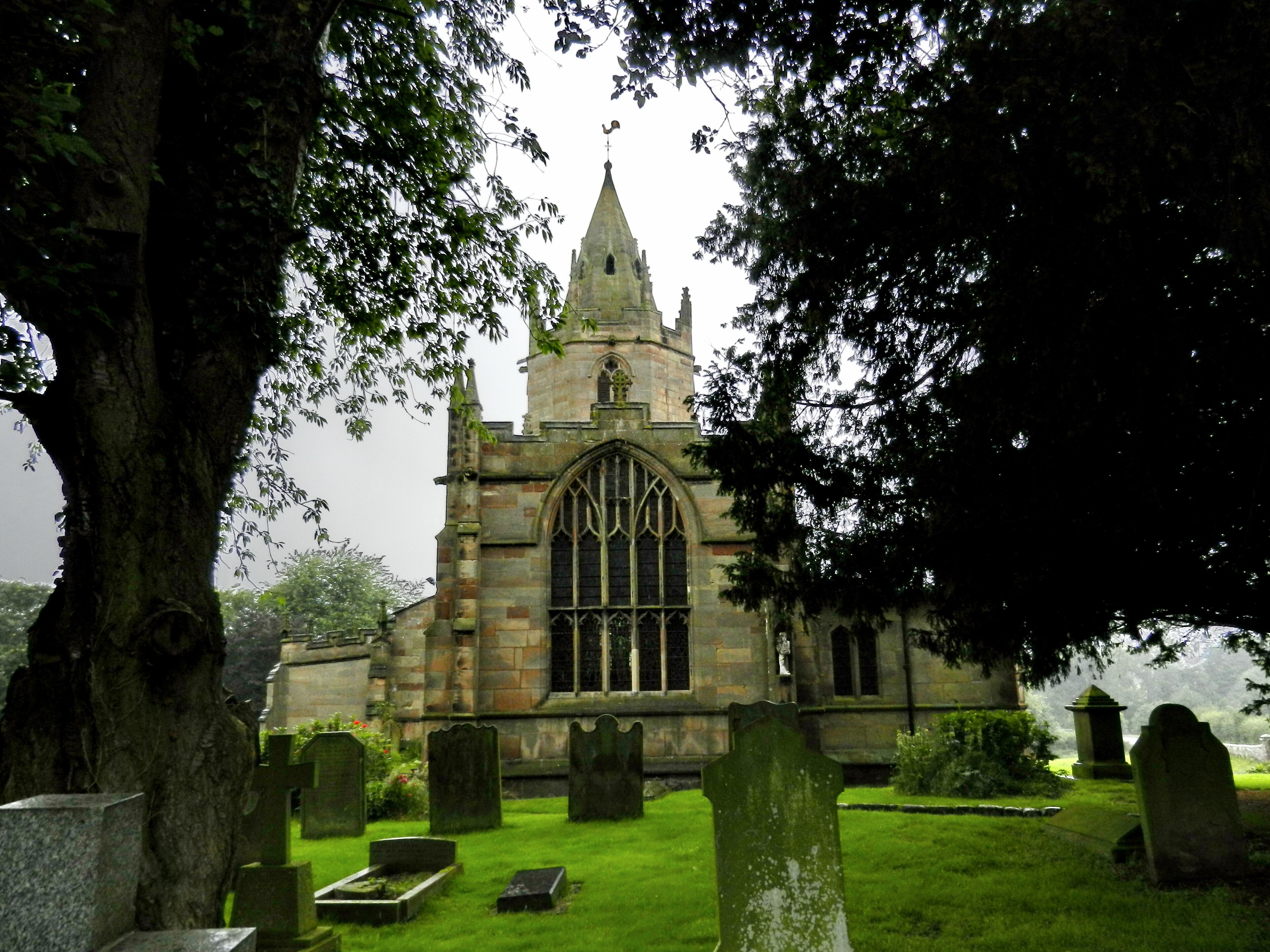 Photo "Tong" by Tanya Dedyukhina (CC BY) / Cropped from original