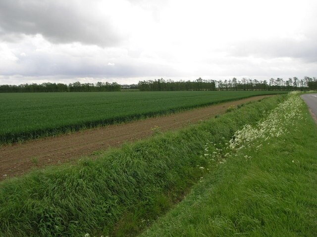 "Newton"-foto av Michael Patterson (CC BY-SA) / Urklipp från original