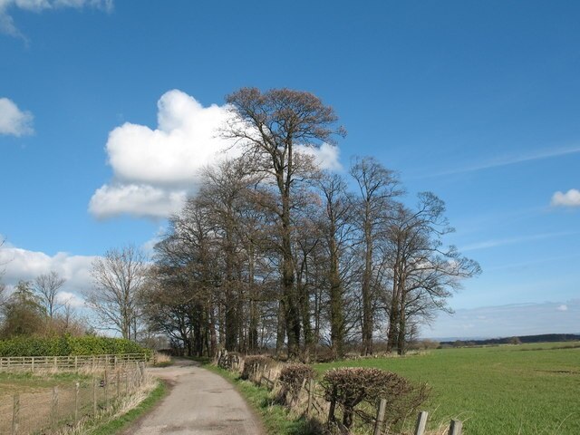 "Copgrove"-foto av Gordon Hatton (CC BY-SA) / Urklipp från original