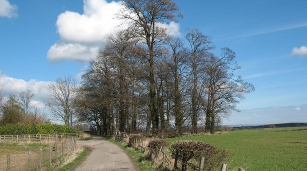 Photo "Copgrove" by Gordon Hatton (CC BY-SA) / Cropped from original