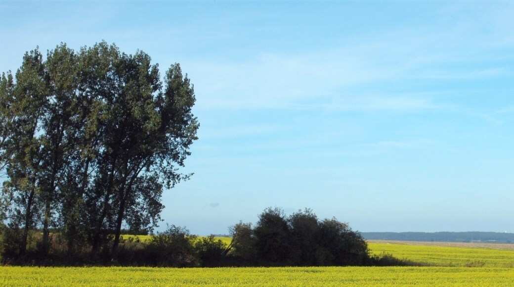 Kuva ”Leulinghem” käyttäjältä Jean Marc Gfp (CC BY) / rajattu alkuperäisestä kuvasta