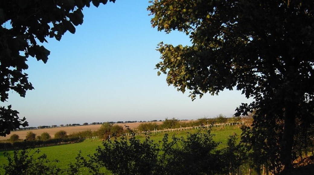 Kuva ”Searby cum Owmby” käyttäjältä Martyn Whiteley (CC BY-SA) / rajattu alkuperäisestä kuvasta