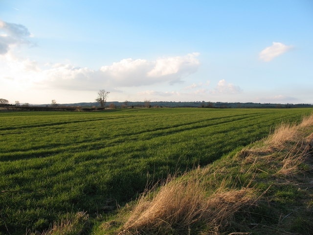 Ảnh "Patrick Brompton" của Gordon Hatton (CC BY-SA) / Cắt từ ảnh gốc