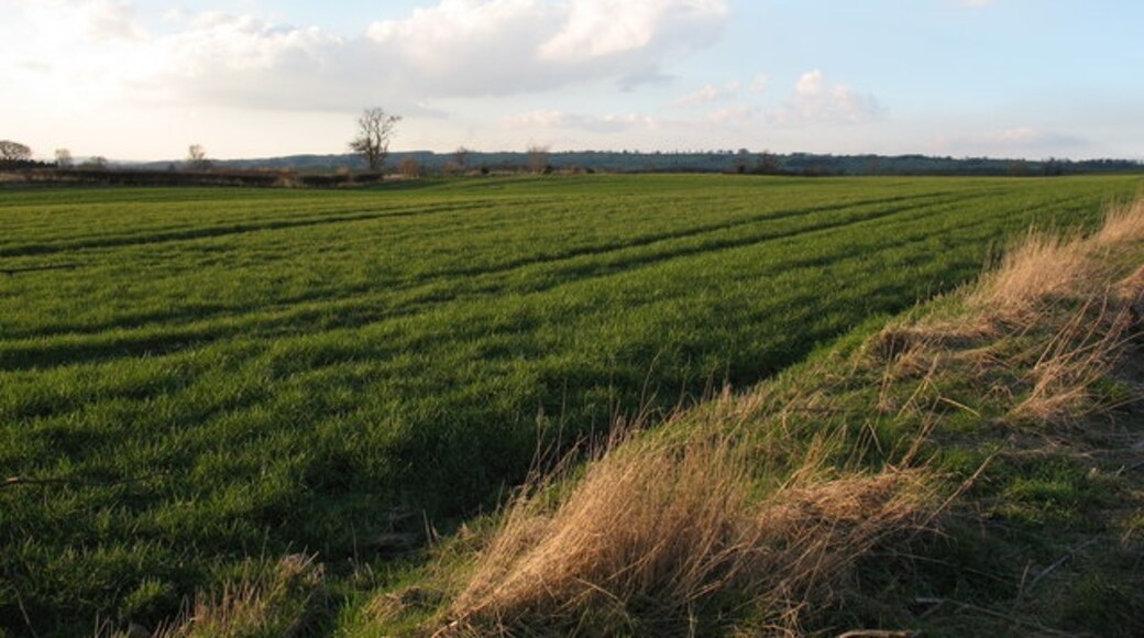 Ảnh "Patrick Brompton" của Gordon Hatton (CC BY-SA) / Cắt từ ảnh gốc