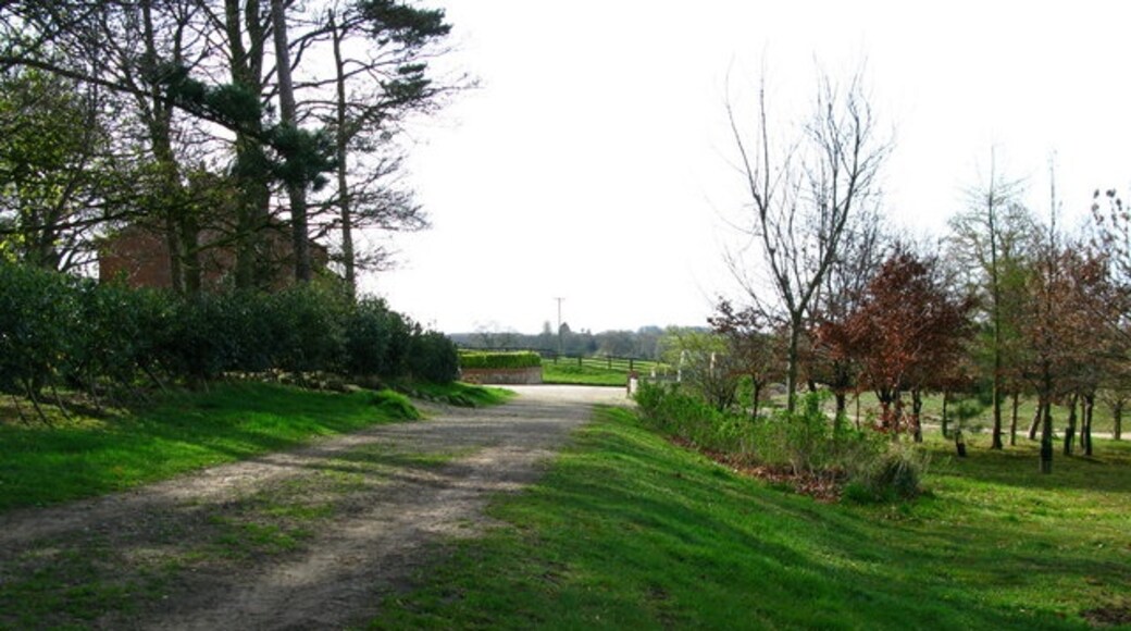 "Östra Tanfield"-foto av David Rogers (CC BY-SA) / Urklipp från original