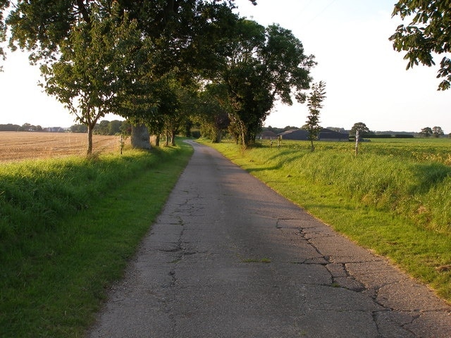 Lane towards Woodlands Farm