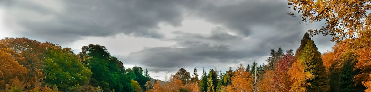 Photo "Lago Castiñeiras, cerca de Marín (Galicia, España)" by Gabriel González (Creative Commons Attribution-Share Alike 2.0) / Cropped from original