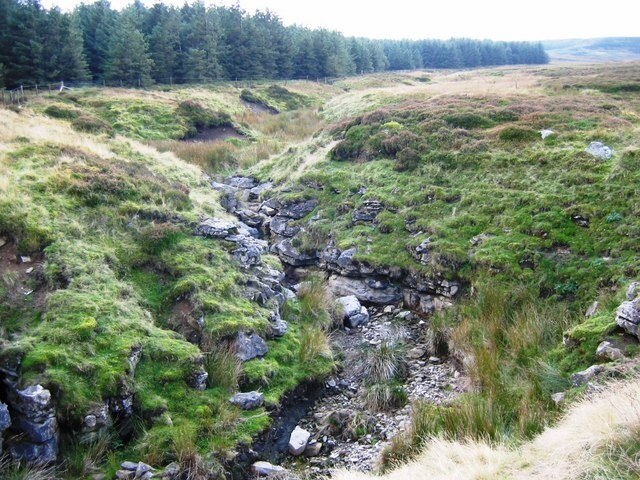 Foto “Hope” tomada por Graham Scarborough (CC BY-SA); recorte de la original