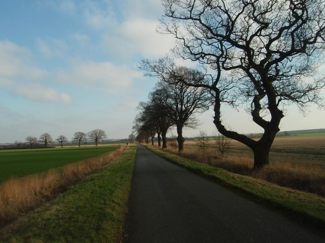 Foto “Barham and Woolley” tomada por Michael Trolove (CC BY-SA); recorte de la original