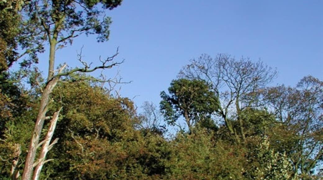 Photo "Patrington" by Paul Glazzard (CC BY-SA) / Cropped from original