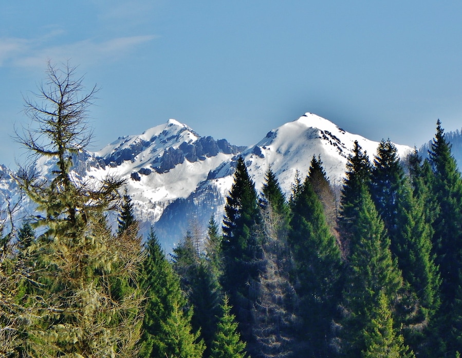 Il massiccio di Cima d'Asta - 2840 m (TN) visto dalla Val Malene